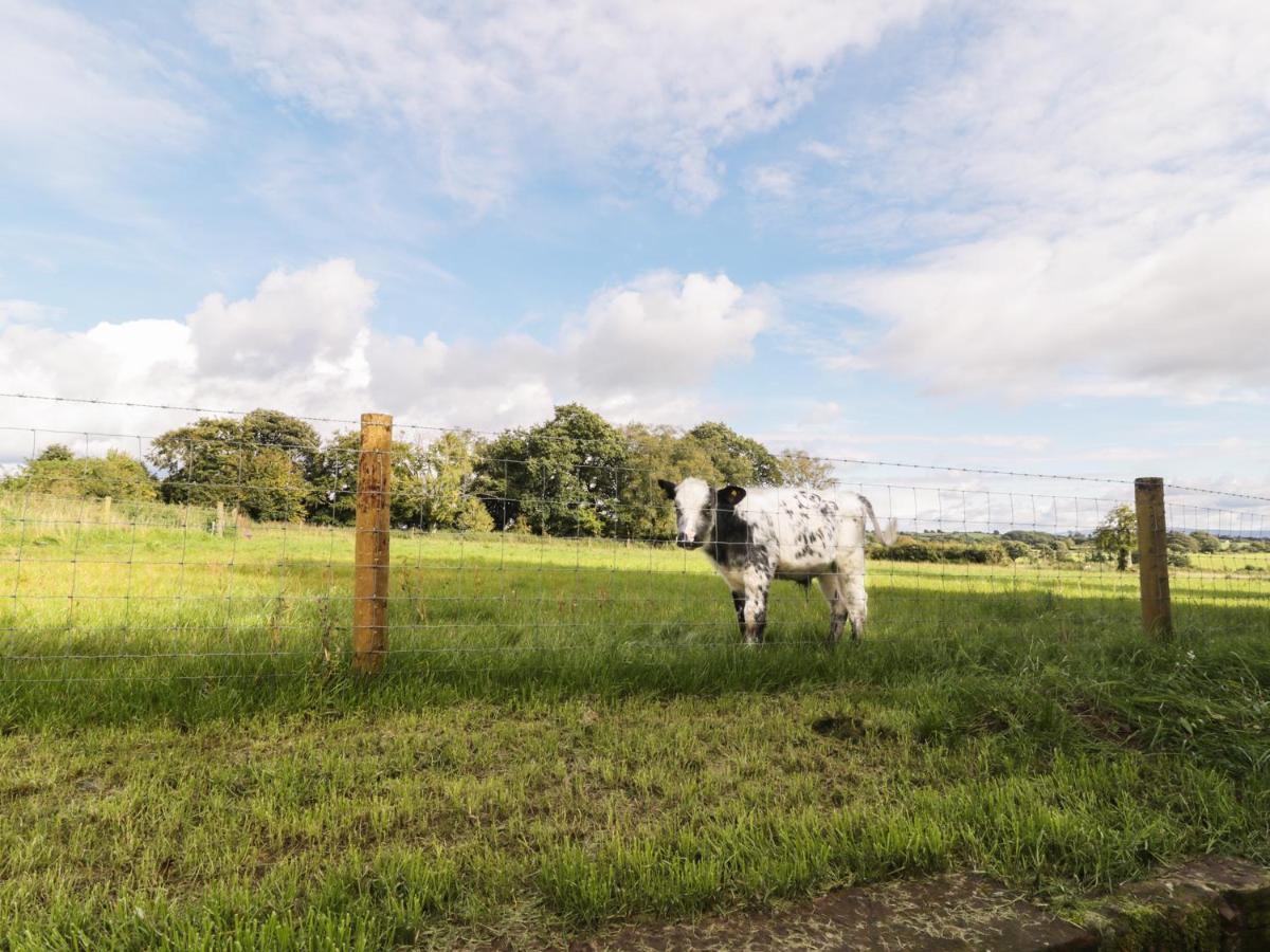 Faraway Cottage Kirklinton Ngoại thất bức ảnh